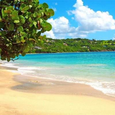 bb平台体育app官网