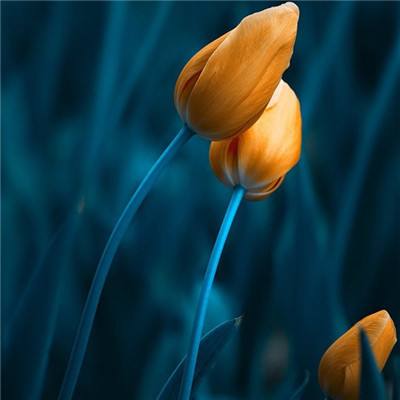 爱游戏体育app下载